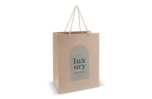 Papieren geschenktas 120g/m² 30x20x40cm