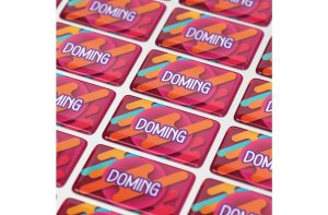 Doming Rechthoek 100x30 mm
