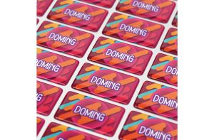 Doming Rechthoek 50x20 mm