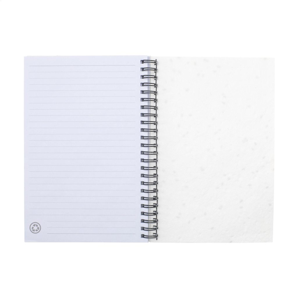 Product 6