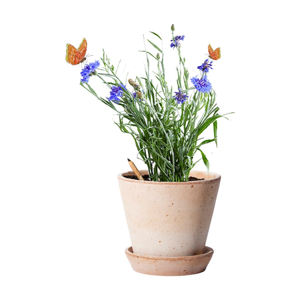 Product 4