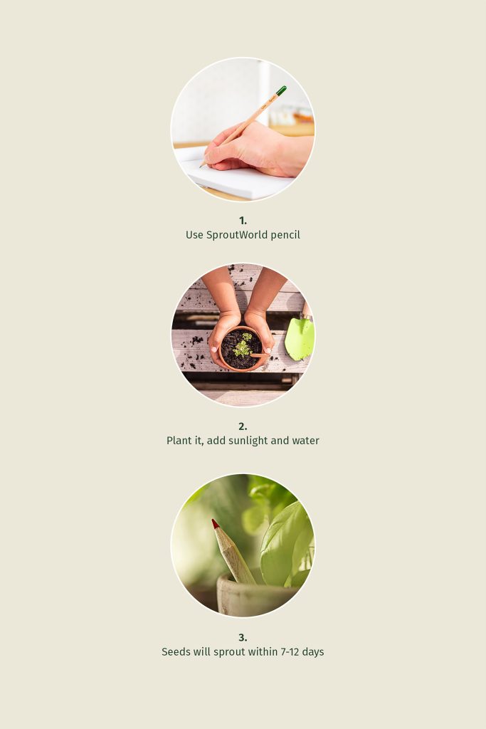 Product 5